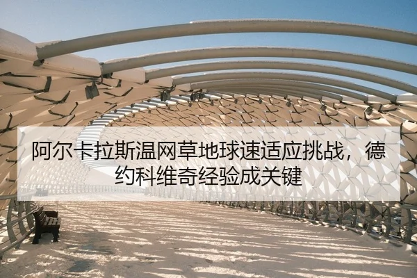 a-er-ka-la-si-wen-wang-cao-di-qiu-su-shi-ying-tiao-zhan-de-yue-ke-wei-qi-jing-yan-cheng-guan-jian-2-603.jpg