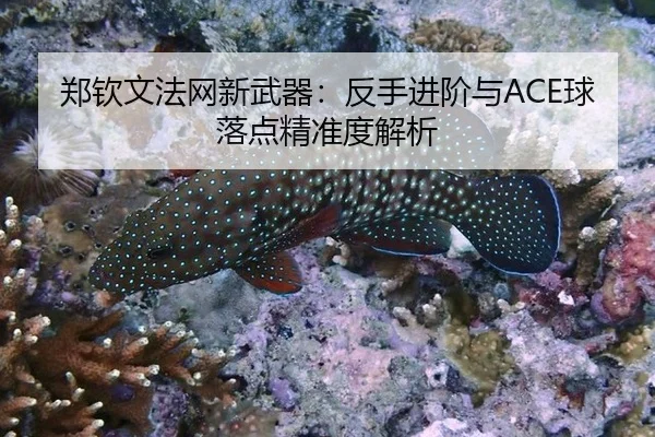 郑钦文法网新武器：反手进阶与ACE球落点精准度解析